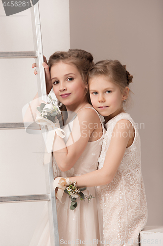 Image of Little pretty girls with flowers dressed in wedding dresses