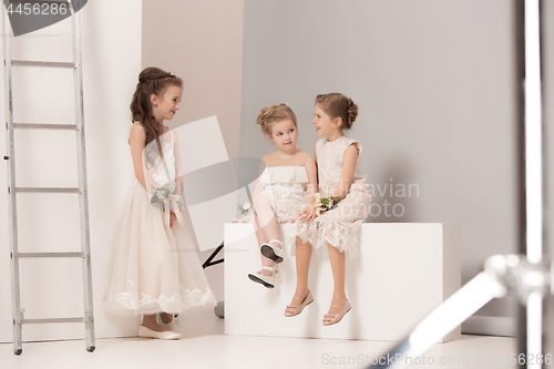 Image of Little pretty girls with flowers dressed in wedding dresses