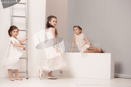 Image of Little pretty girls with flowers dressed in wedding dresses