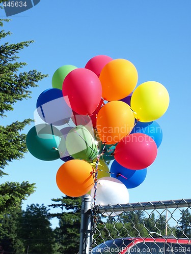 Image of Colorful Balloons