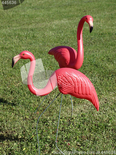 Image of Two Pink Flamingos