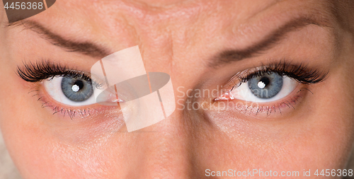 Image of Face woman with eyes and eyelashes