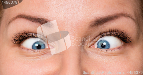 Image of Face woman with eyes and eyelashes