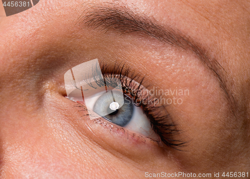 Image of Face woman with eyes and eyelashes