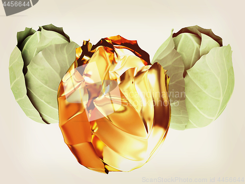 Image of green cabbage and gold cabbage isolated on white background. 3d 