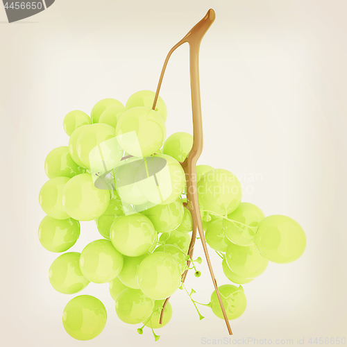 Image of Healthy fruits Green wine grapes isolated white background. Bunc