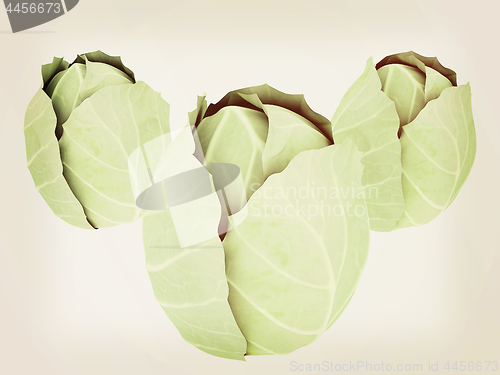 Image of green cabbage isolated on white background. 3d illustration. Vin