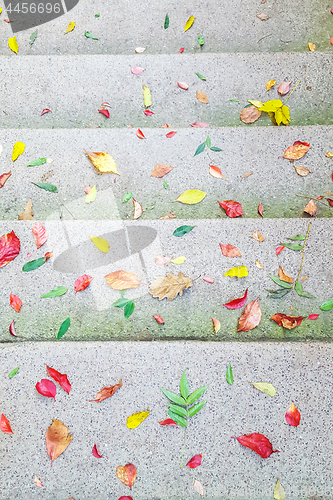 Image of Autumn leaves on concrete stairs as backgrounds