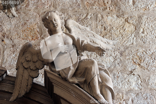 Image of Angel