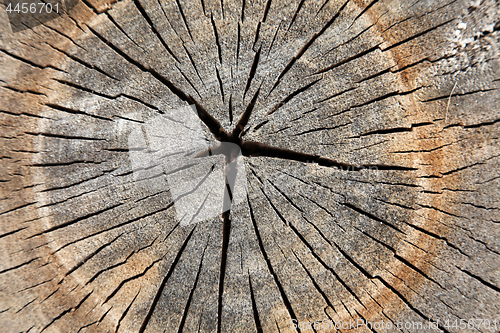 Image of Wooden structure for a background