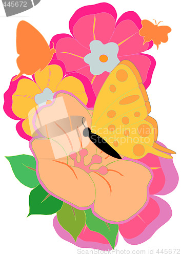 Image of Butterfly and Flowers