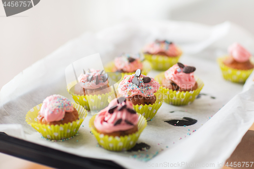 Image of close up of frosted cupcakes or muffins on tray