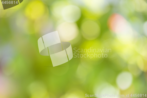 Image of Green background with bokeh effect