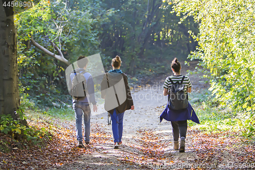 Image of Young people walking on path in the forest
