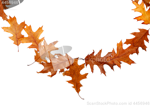 Image of Frame of autumn dried oak leaves with copy space