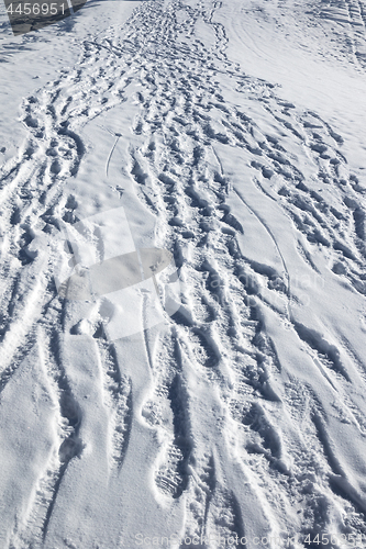 Image of Footprints on snow