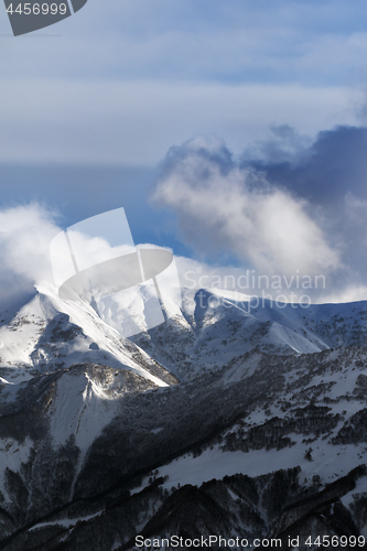 Image of View on off-piste slope with forest 