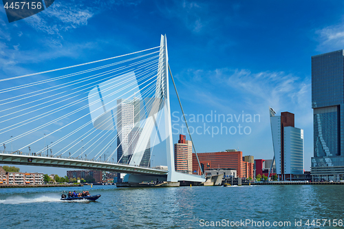 Image of Rotterdam cityscape