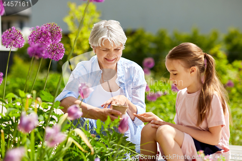 Image of grandmother and girl seeding flowers at garden