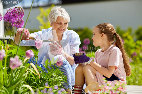 Image of grandmother and girl planting flowers at garden