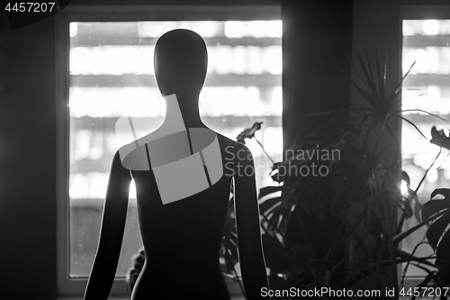 Image of human female mannequin standing in the dark near the window.