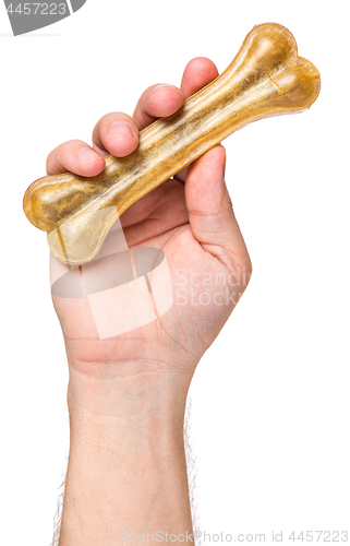 Image of Hand with dog bone