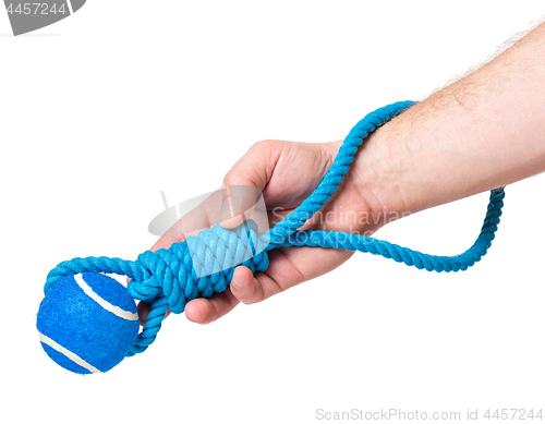 Image of Hand with dog toy