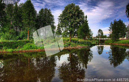 Image of Trees reflecting