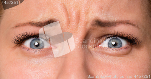 Image of Face woman with eyes and eyelashes