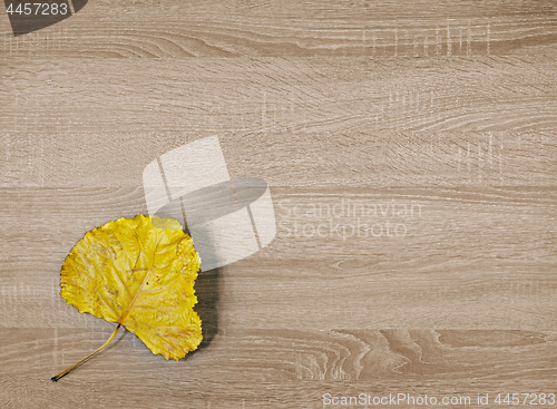 Image of Yellow dry leaf on brown wooden texture background.