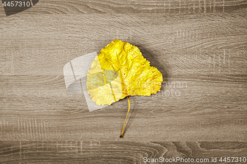 Image of Yellow dry leaf on brown wooden texture background.