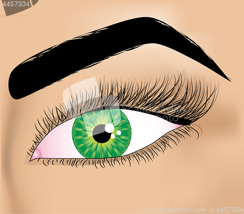 Image of Woman green eye