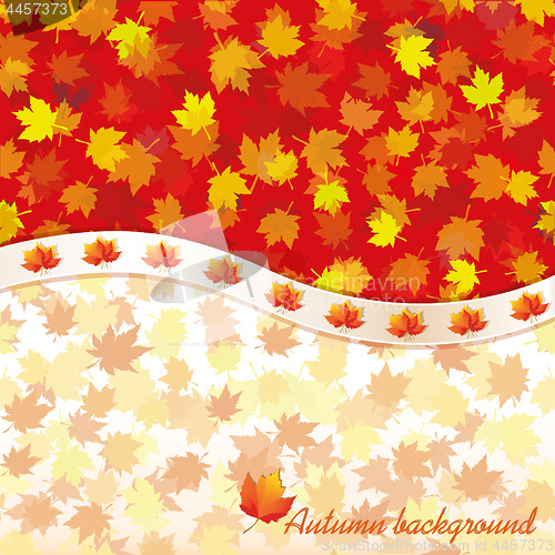 Image of Autumn background with maple leaves