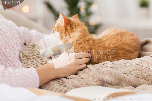 Image of close up of owner with red cat in bed at home