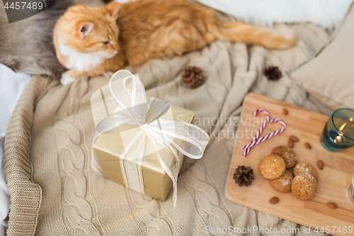 Image of red cat lying in bed with christmas gift at home