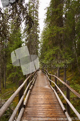 Image of Wooden path