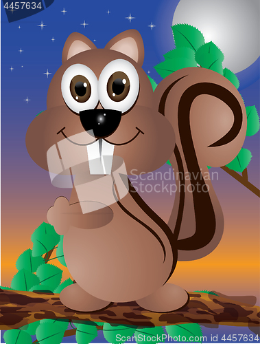 Image of Squirrel on branch