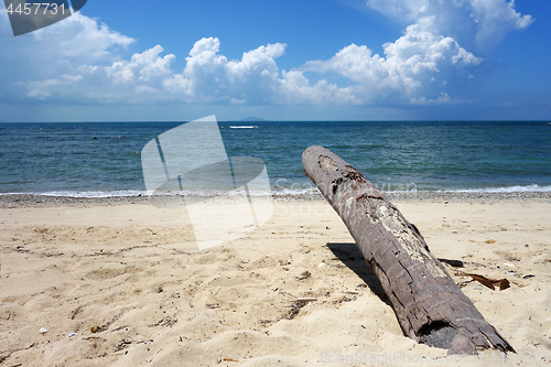 Image of Landscape view of tropical beach 