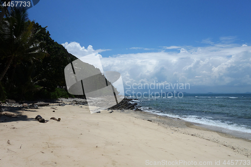 Image of Landscape view of tropical beach