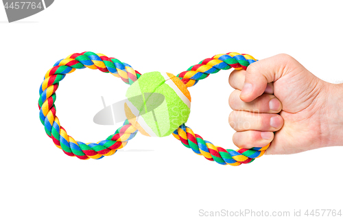 Image of Hand with dog toy