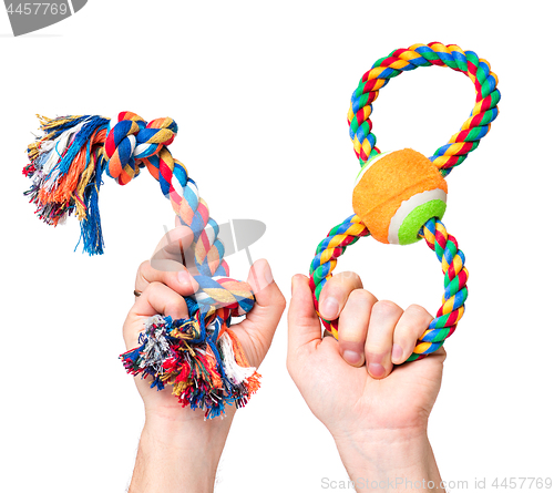 Image of Hand with dog toy