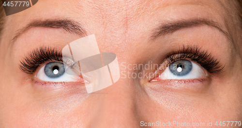 Image of Face woman with eyes and eyelashes