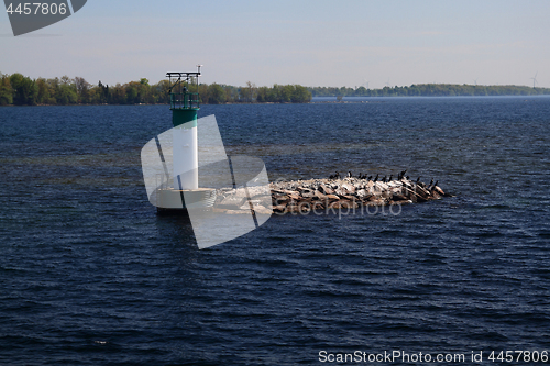 Image of The smallest from Thousand Islands 