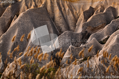 Image of Rose valley near Goreme, Turkey