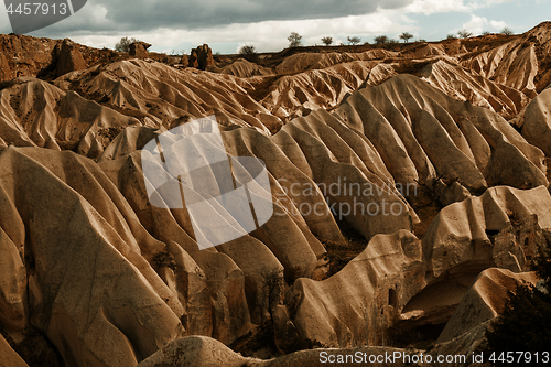 Image of Rose valley near Goreme, Turkey