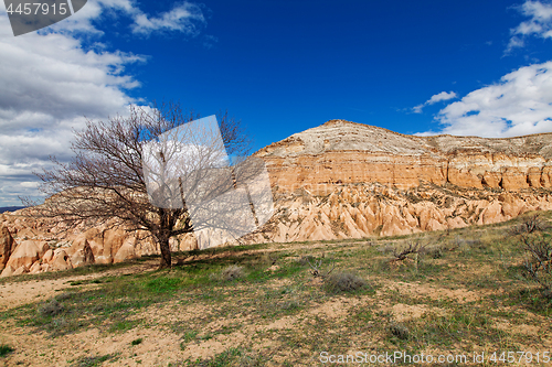 Image of Fairy houses stone cliffs