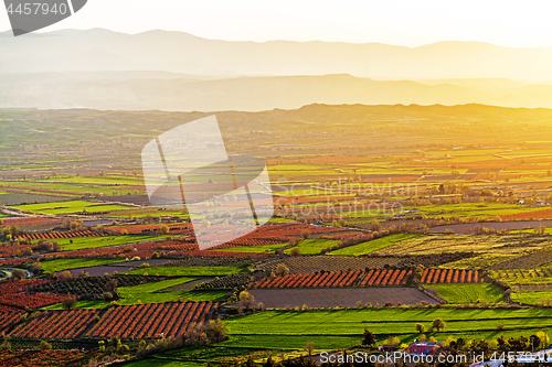 Image of Beutiful sunset over colored agricultiral fields