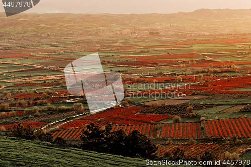 Image of Beutiful sunset over colored agricultiral fields