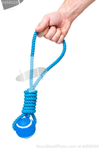 Image of Hand with dog toy