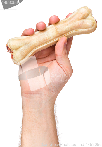 Image of Hand with dog bone